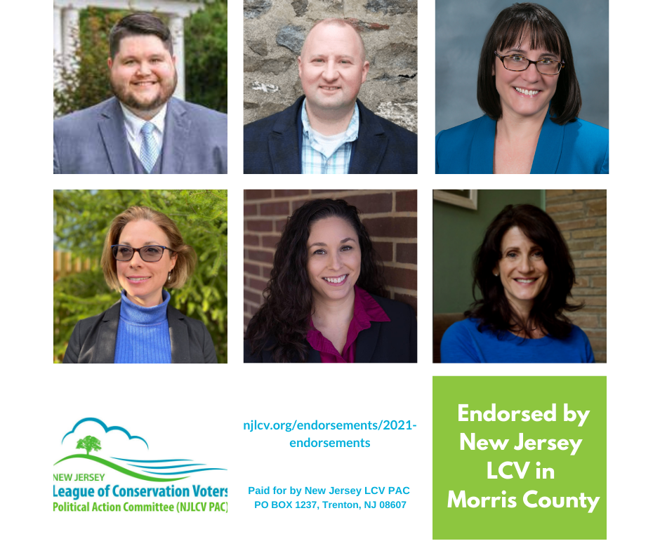 NJLCV Morris County 2021 Endorsements 1