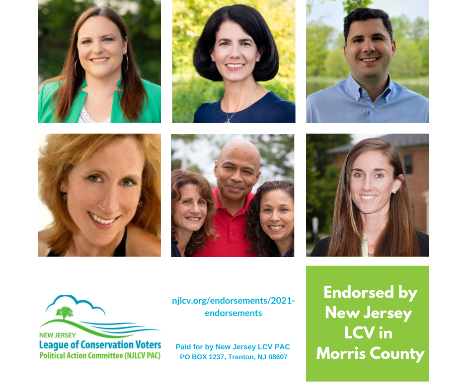NJLCV 2021 Morris County Endorsements 2